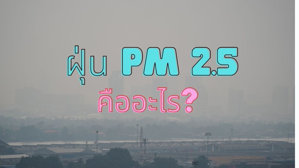 ฝุ่น pm 2.5&nbsp;คืออะไร